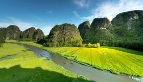 image-39